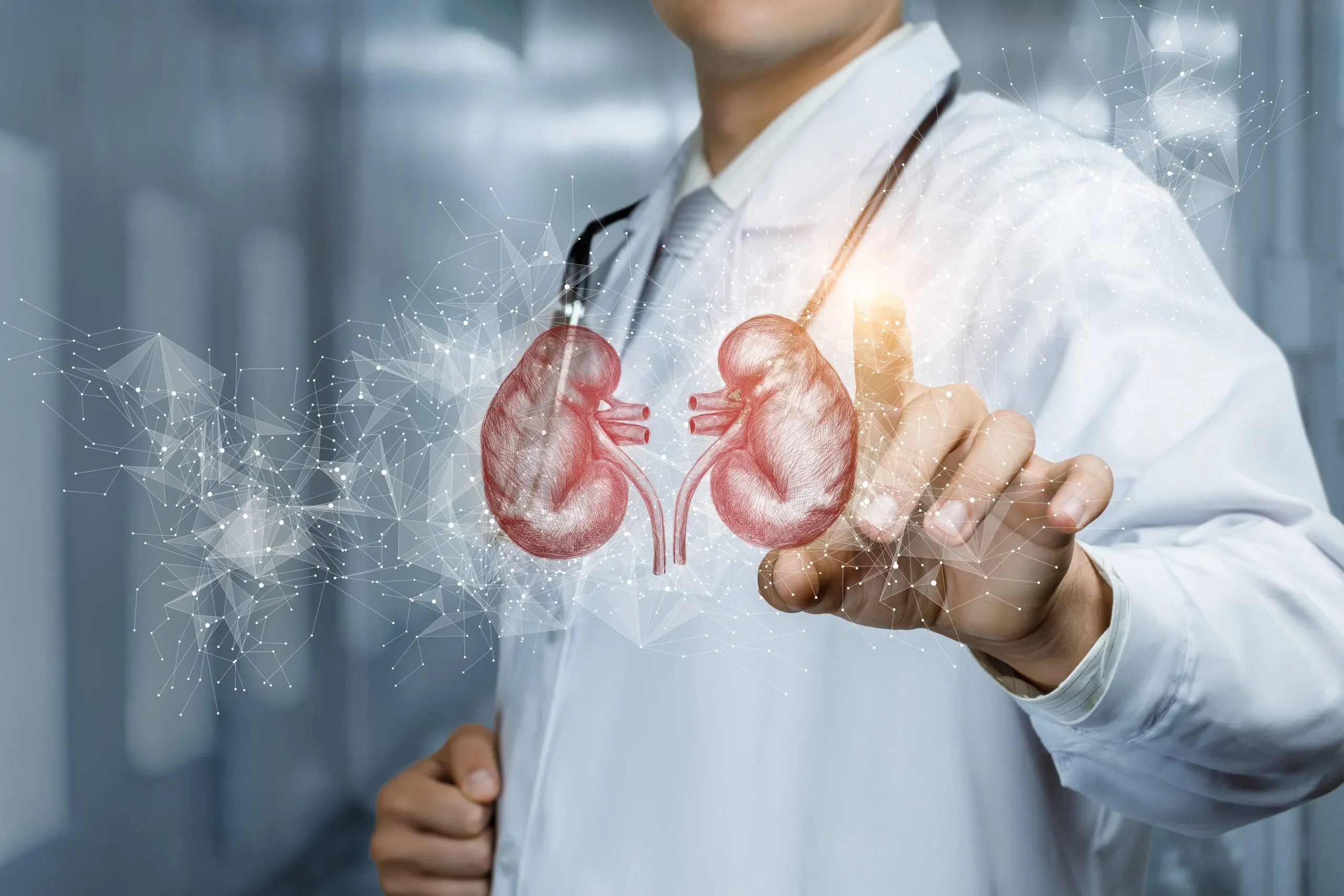 Kidney care infographic showing treatment path for kidney disease at Maplewood MN
