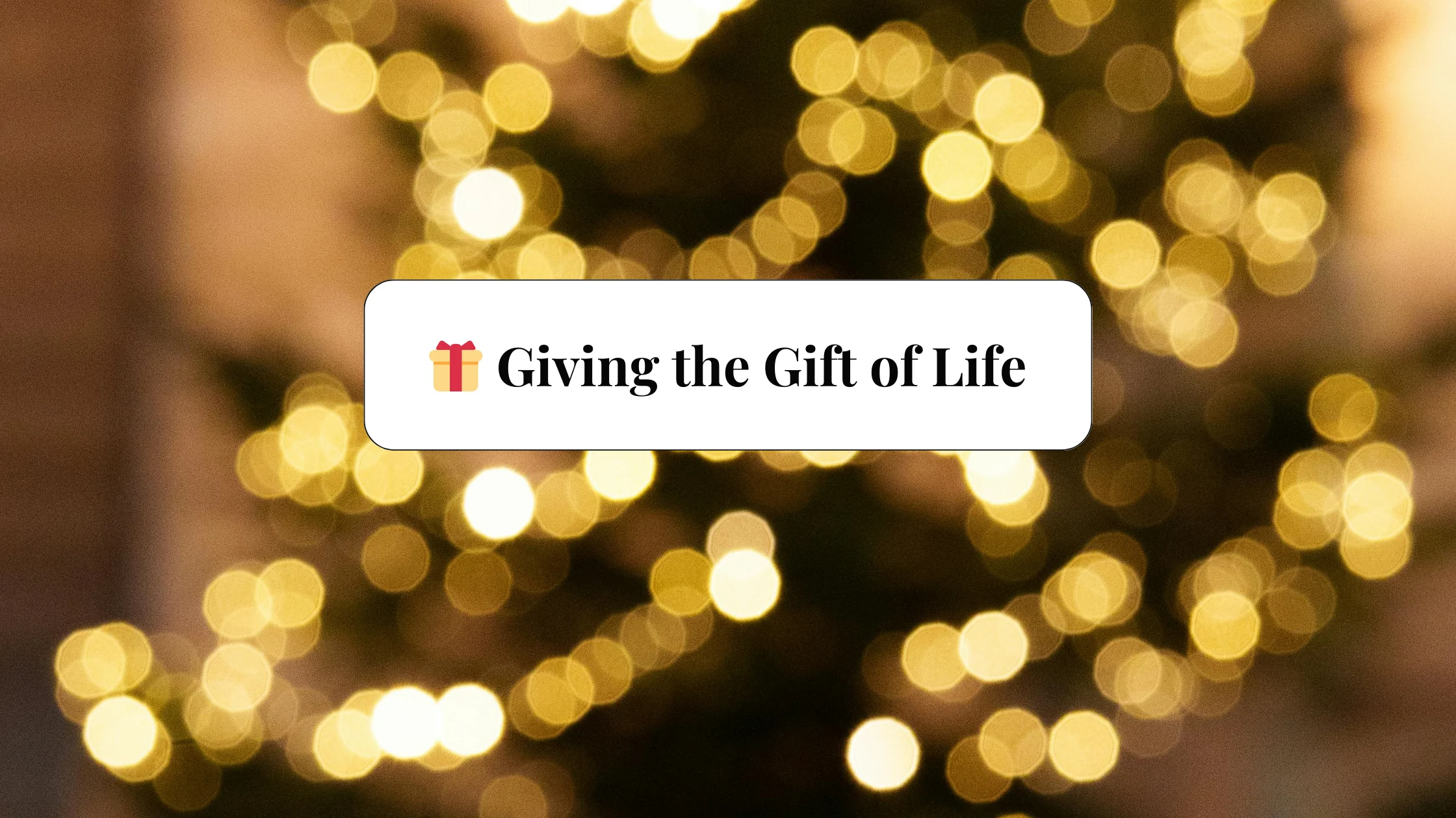 🎁 Giving The Gift Of Life Over 90,000 People In The U.s. Are Waiting For A Kidney Transplant. This Season, Dr. Doyle Shares How One Decision Can Change A Life Forever. (blog Banner)