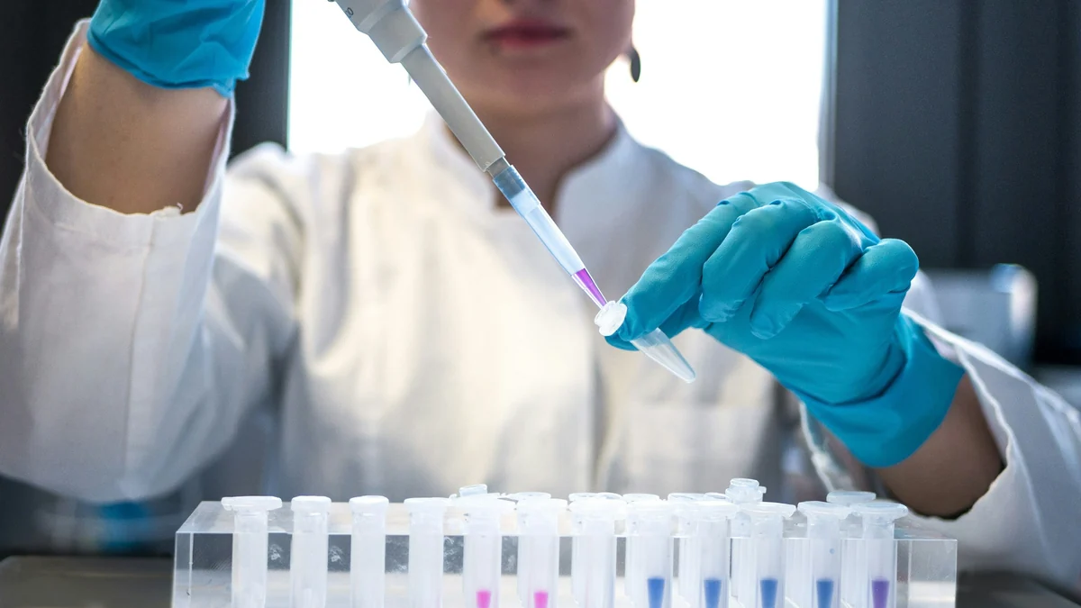 Laboratory technician in blue gloves pipetting samples into test tubes